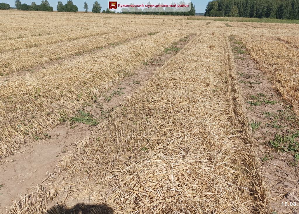 Фото вк_1.png